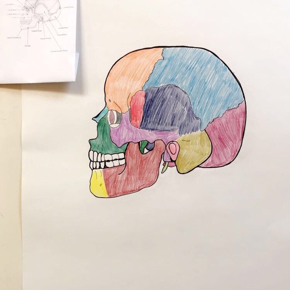 Meet your Posher, Brittany - Picture 1 of 1